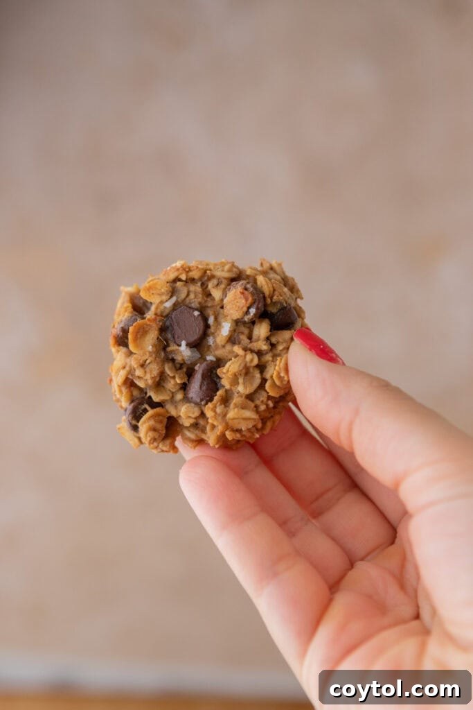 Healthy Oatmeal Banana Cookies being held up by a hand