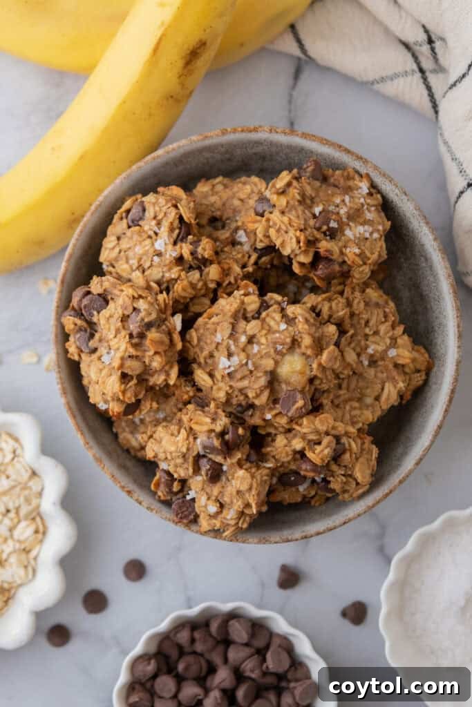 overhead shot of the Healthy Oatmeal Banana Cookies recipe
