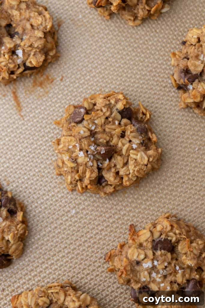 overhead shot of the Healthy Oatmeal Banana Cookies recipe