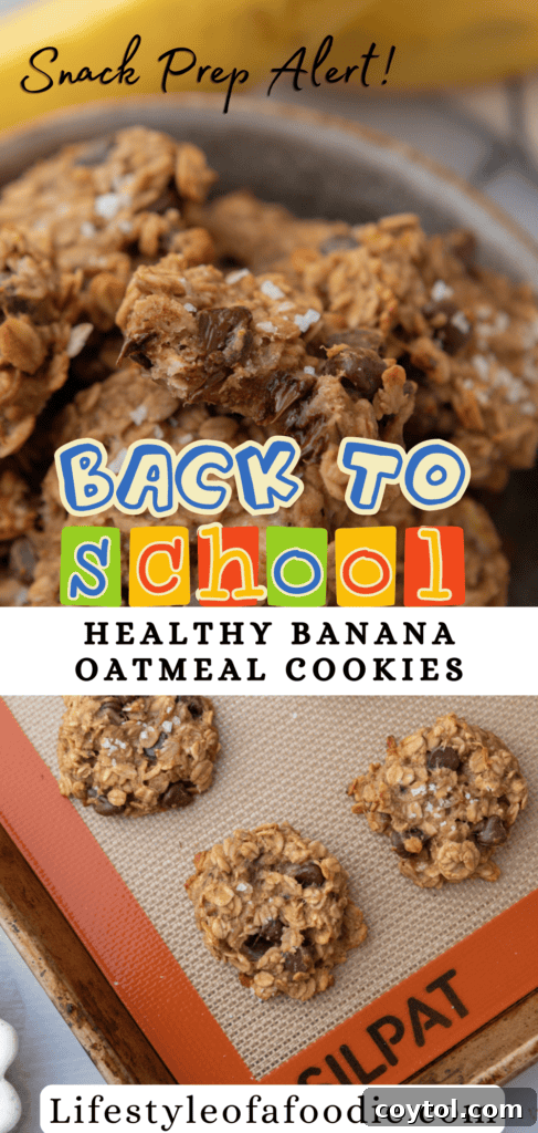 pinterest pin of the Healthy Oatmeal Banana Cookies recipe