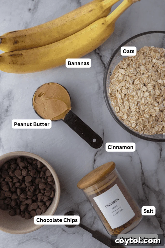 Healthy Oatmeal Banana Cookies recipe ingredients