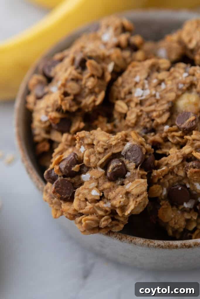 Healthy Oatmeal Banana Cookies recipe in a bowl