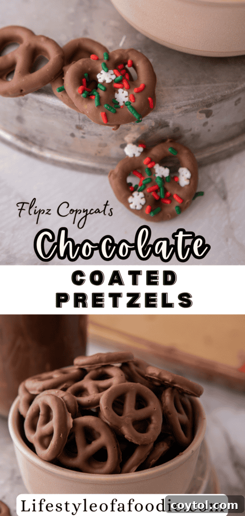 Irresistible Chocolate Pretzel Perfection 16 Chocolate coated pretzels