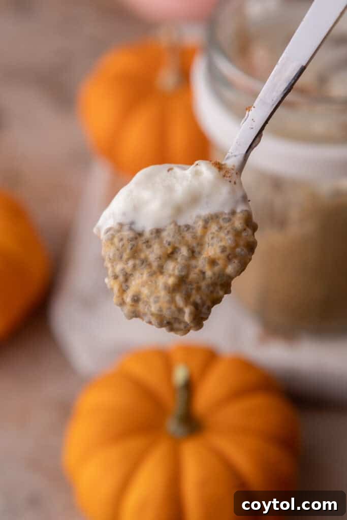 Easy Pumpkin Pie Spice Chia Seed Pudding Recipe on a spoon, showcasing its creamy texture and festive appeal