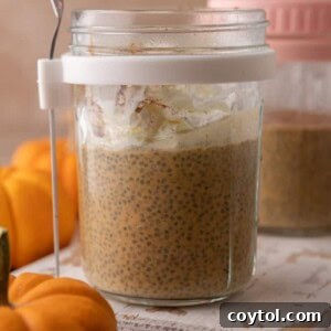 Pumpkin Pie Spice Chia Seed Pudding Recipe in a jar with festive garnishes