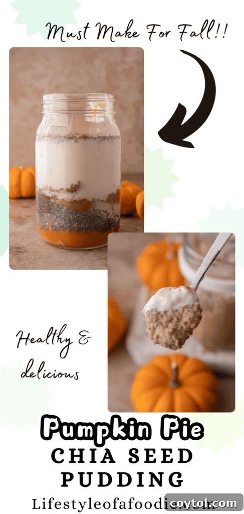 Pinterest collage for Pumpkin Pie Spice Chia Seed Pudding, showing various serving ideas