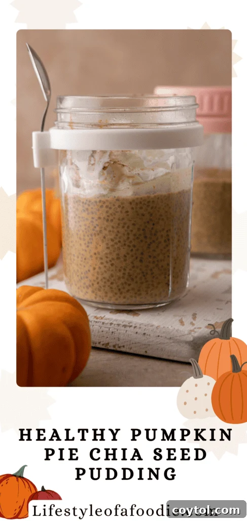 Chia Seed Pumpkin Pudding recipe inspiration image for social media