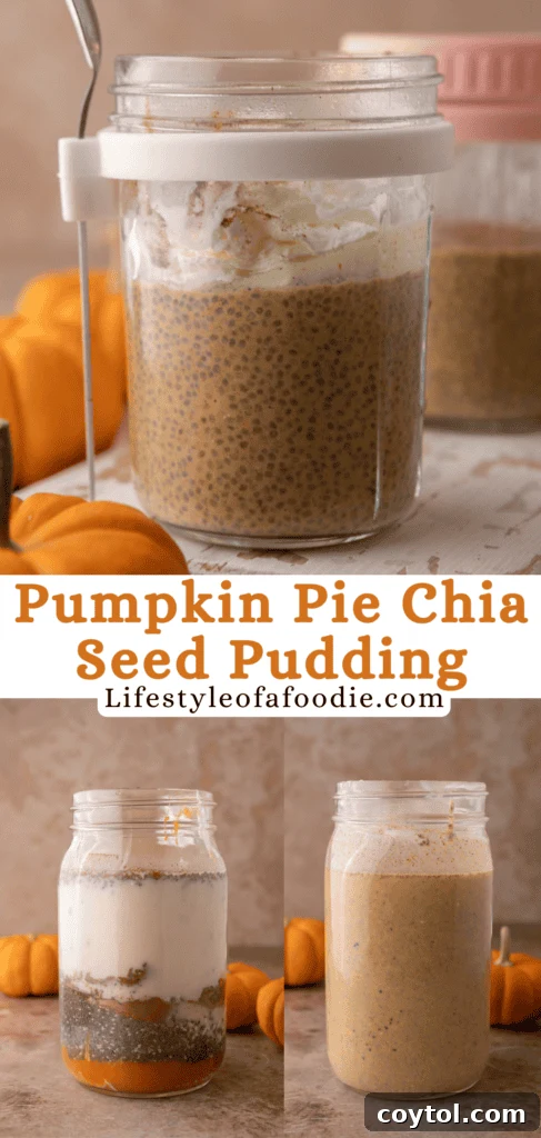 Chia Seed Pumpkin Pudding recipe serving suggestion with fall decor