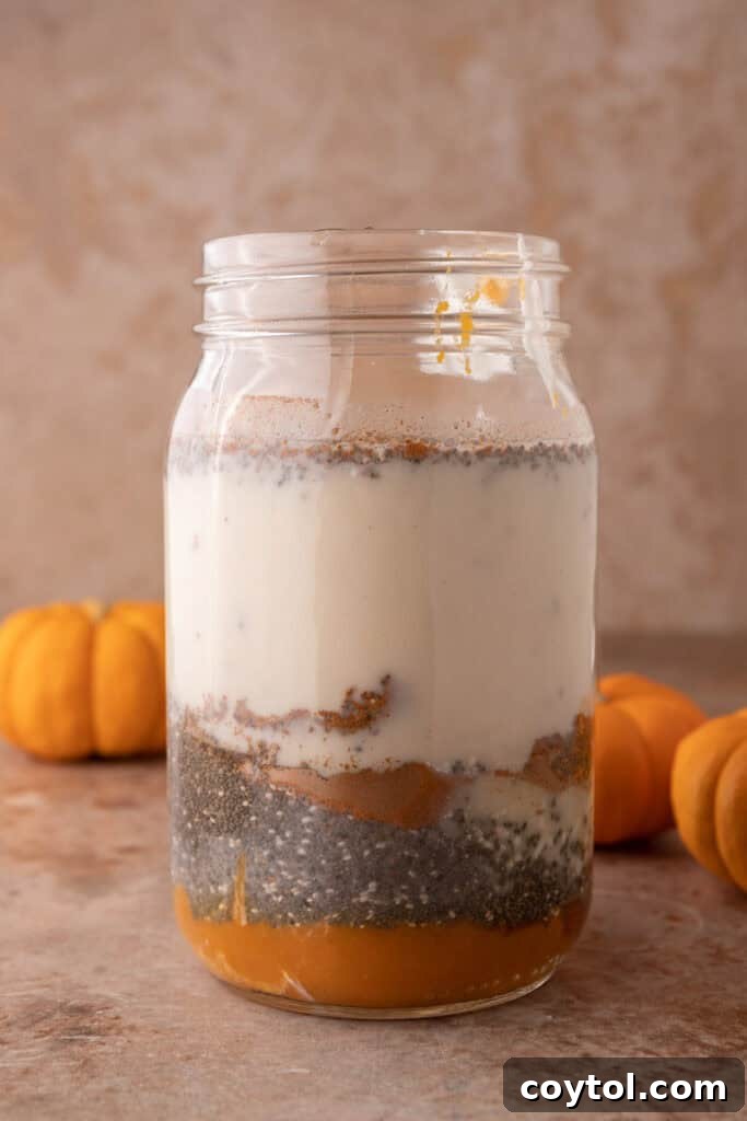 Unmixed ingredients for Pumpkin Pie Spice Chia Seed Pudding in a jar