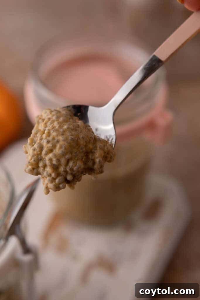 Pumpkin Pie Spice Chia Seed Pudding Recipe on a spoon, highlighting its smooth texture