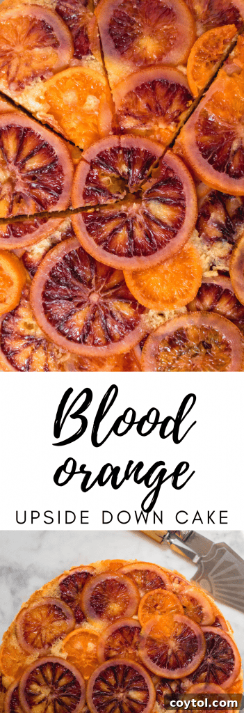 Blood Orange Upside Down Cake Pin