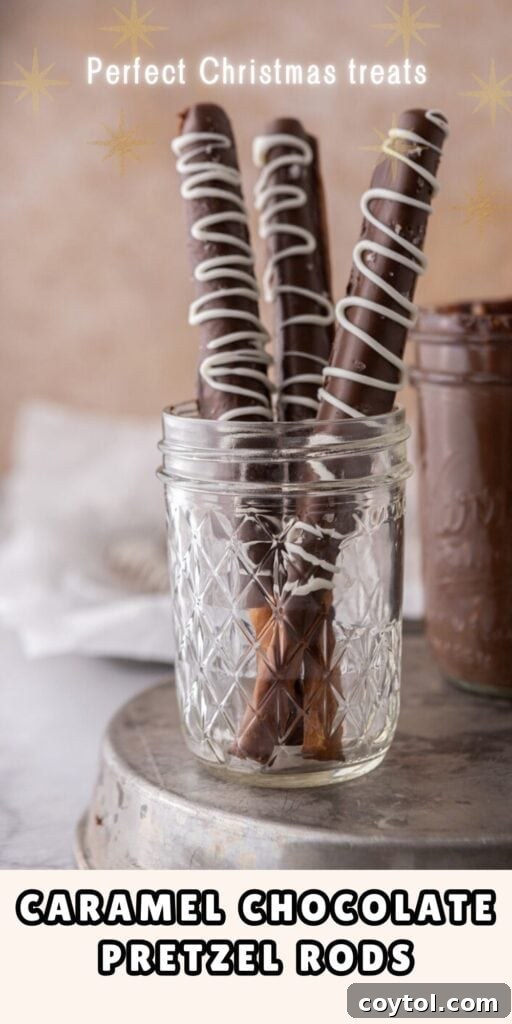A vertical image showcasing several beautifully made Caramel Chocolate Dipped Pretzel Rods with various toppings.