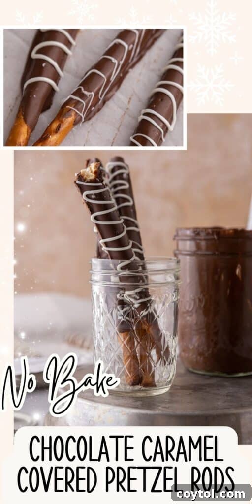 A third high-quality image of Caramel Chocolate Dipped Pretzel Rods, suitable for a recipe card or social media sharing.