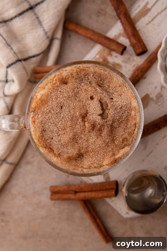 overhead shot of the snickerdoodle mug cake recipe