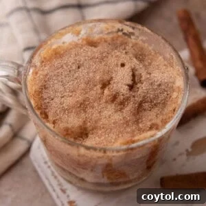 Snickerdoodle Mug Cake Recipe