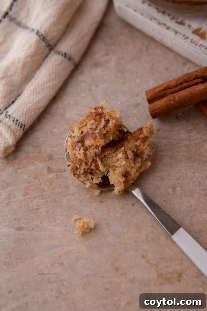 snickerdoodle mug cake recipe on a spoon