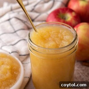 Instant Pot Apple Sauce