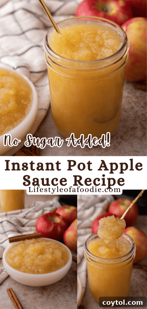 Another Pinterest graphic for Instant Pot Applesauce, showing a serving spoon with smooth applesauce, emphasizing quick and easy preparation.