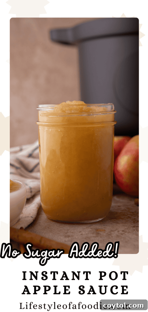 A third Pinterest image for Instant Pot Applesauce, featuring a bowl of applesauce with a sprig of cinnamon, promoting homemade and no-sugar options.