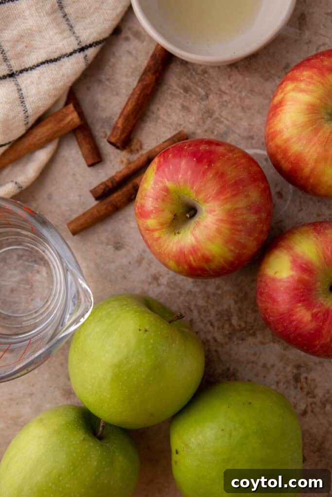 Assortment of fresh ingredients for Instant Pot Applesauce recipe, including various types of apples, water, lemon juice, and cinnamon sticks, laid out on a clean surface.
