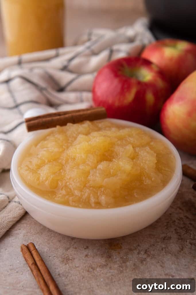 A bowl of freshly made Instant Pot Applesauce, smooth and golden, garnished with a cinnamon stick, ready to be served.