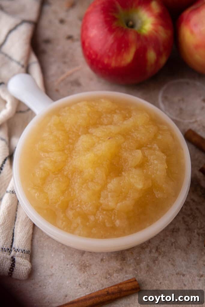 A serving of freshly prepared, golden Instant Pot Applesauce in a rustic bowl, highlighting its perfect texture after mashing.