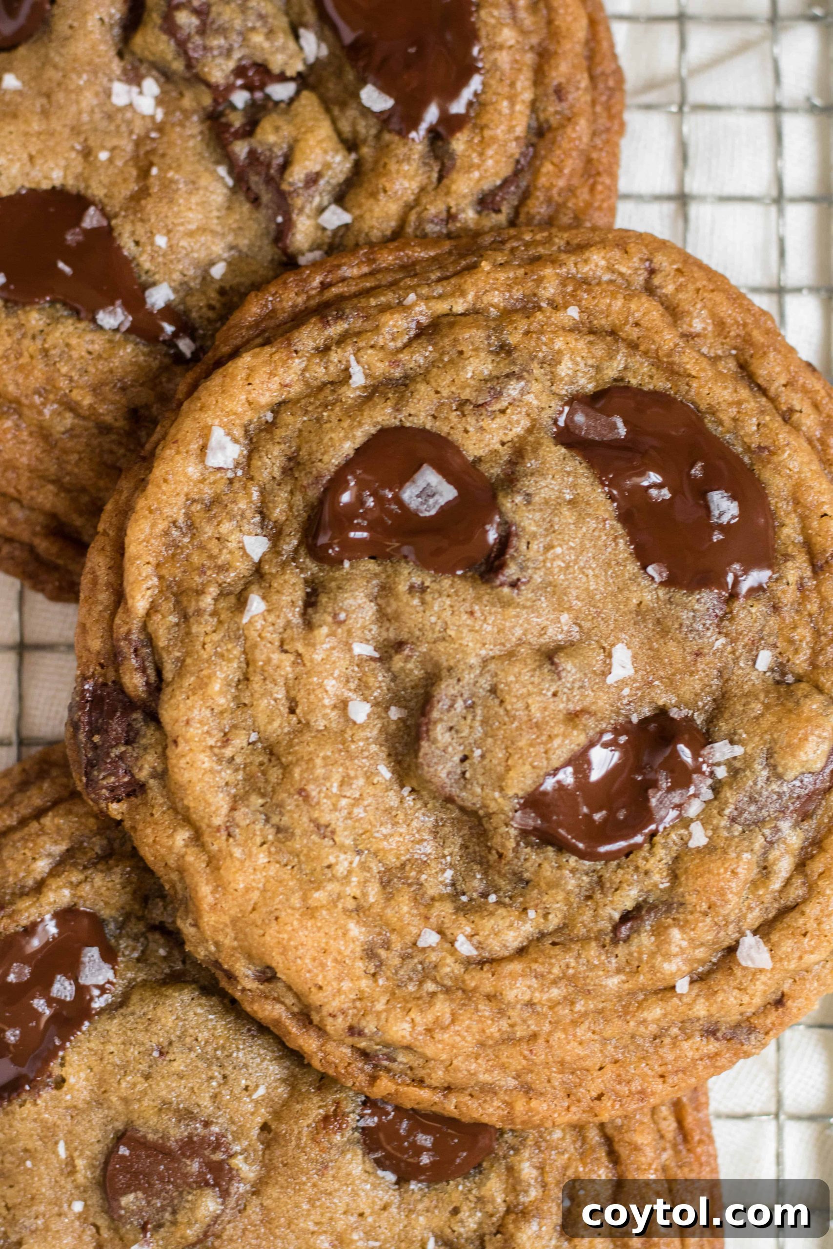 Sweet Escapes: 20 Recipes to Bake Away Stress 13 Chewy espresso chocolate chip cookies