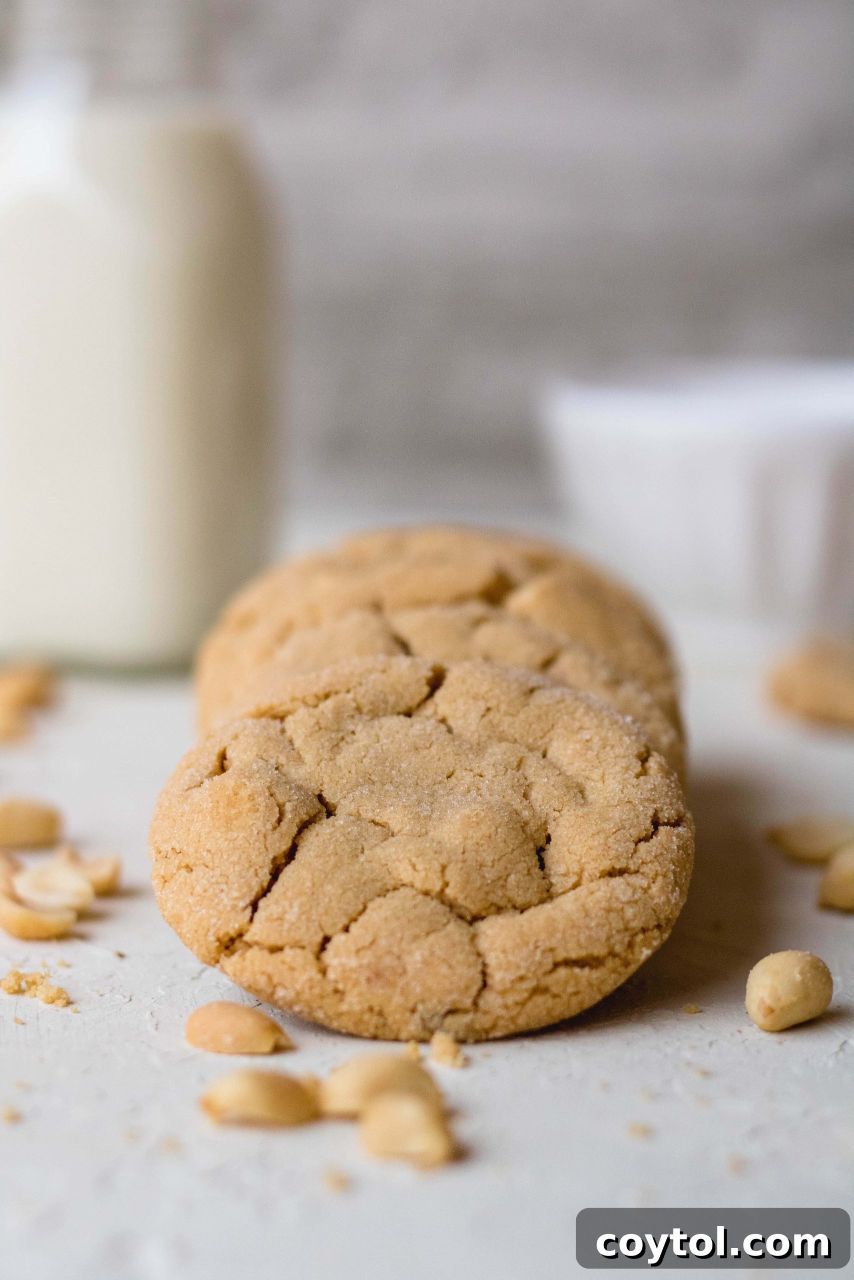 Sweet Escapes: 20 Recipes to Bake Away Stress 16 peanut butter cookies for stress baking