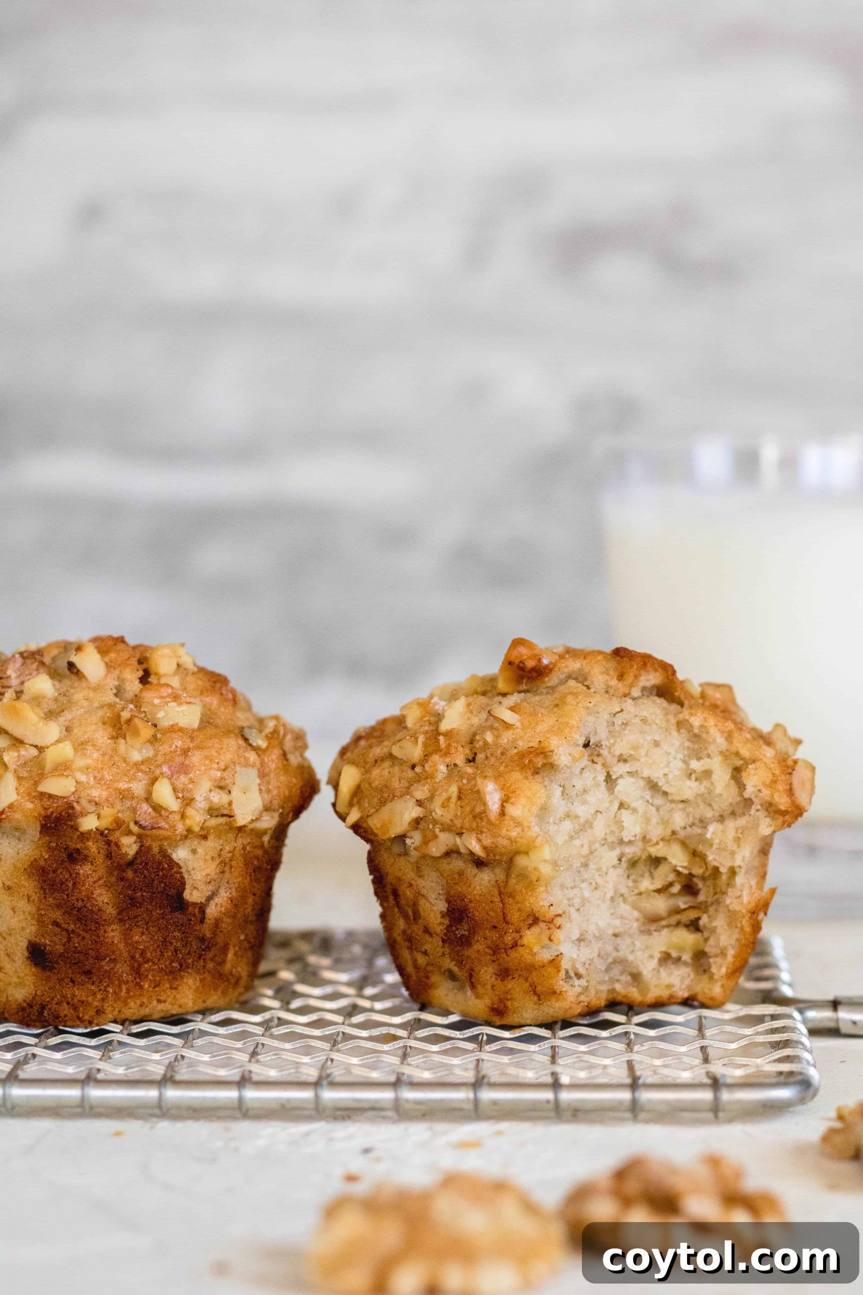 Sweet Escapes: 20 Recipes to Bake Away Stress 21 Easy and delicious banana walnut muffins for stress baking