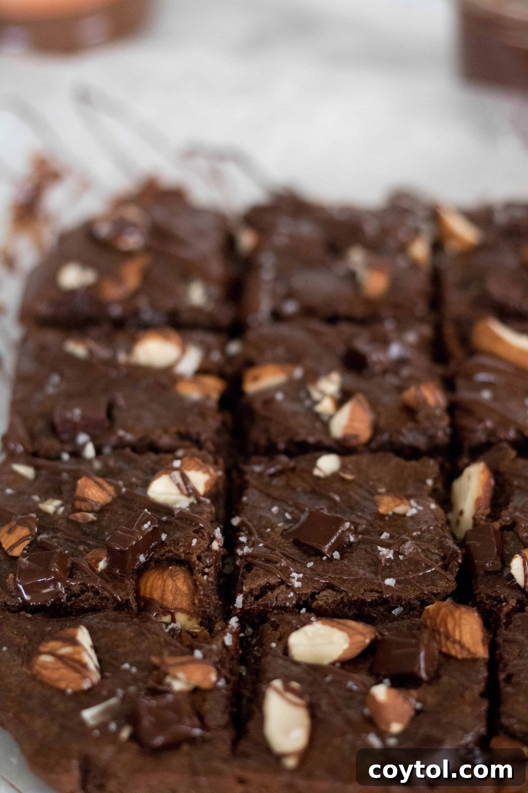 Sweet Escapes: 20 Recipes to Bake Away Stress 4 Healthy Vegan double chocolate brownies for stress baking
