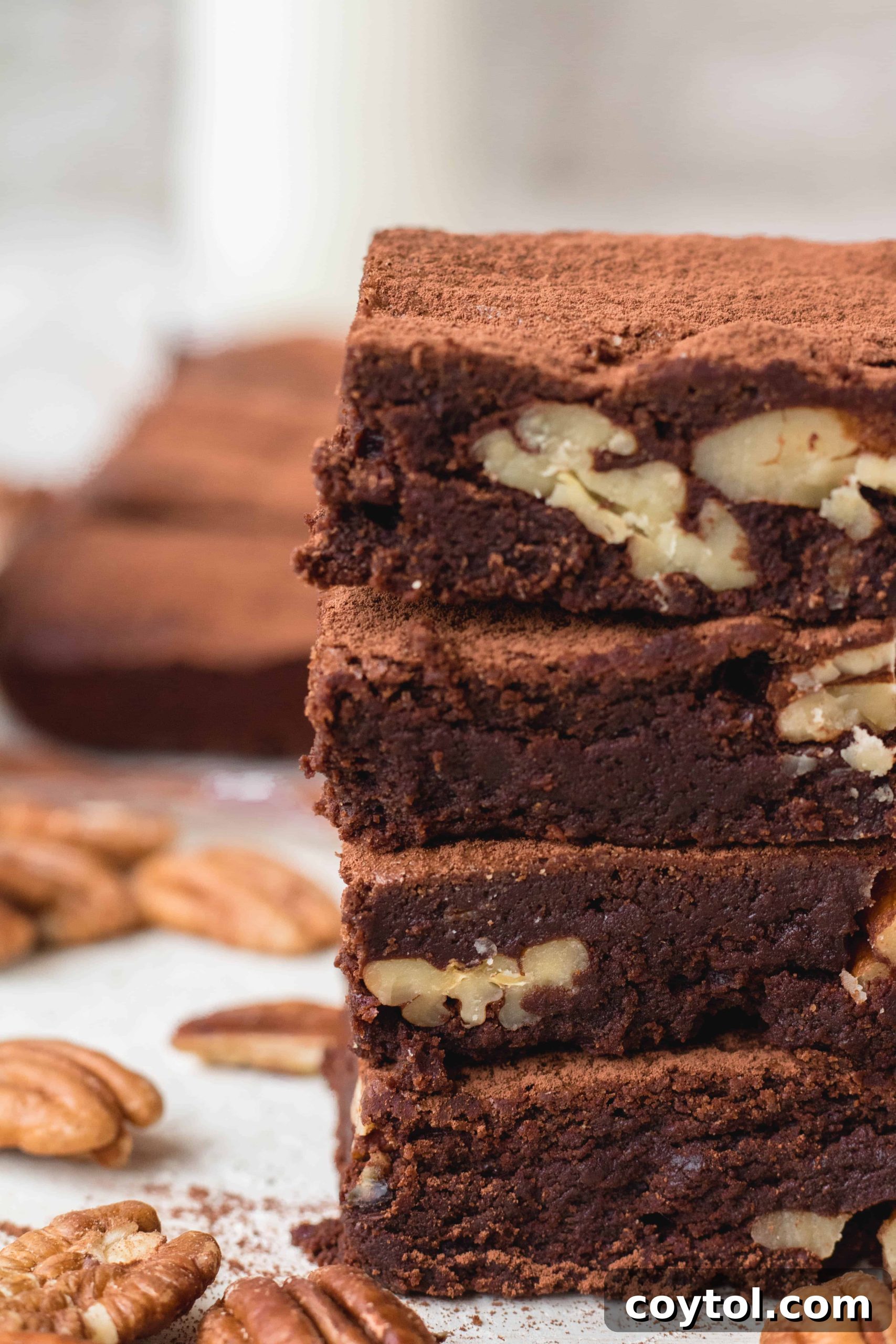 Sweet Escapes: 20 Recipes to Bake Away Stress 5 The best chewy brownies with cocoa powder for stress baking