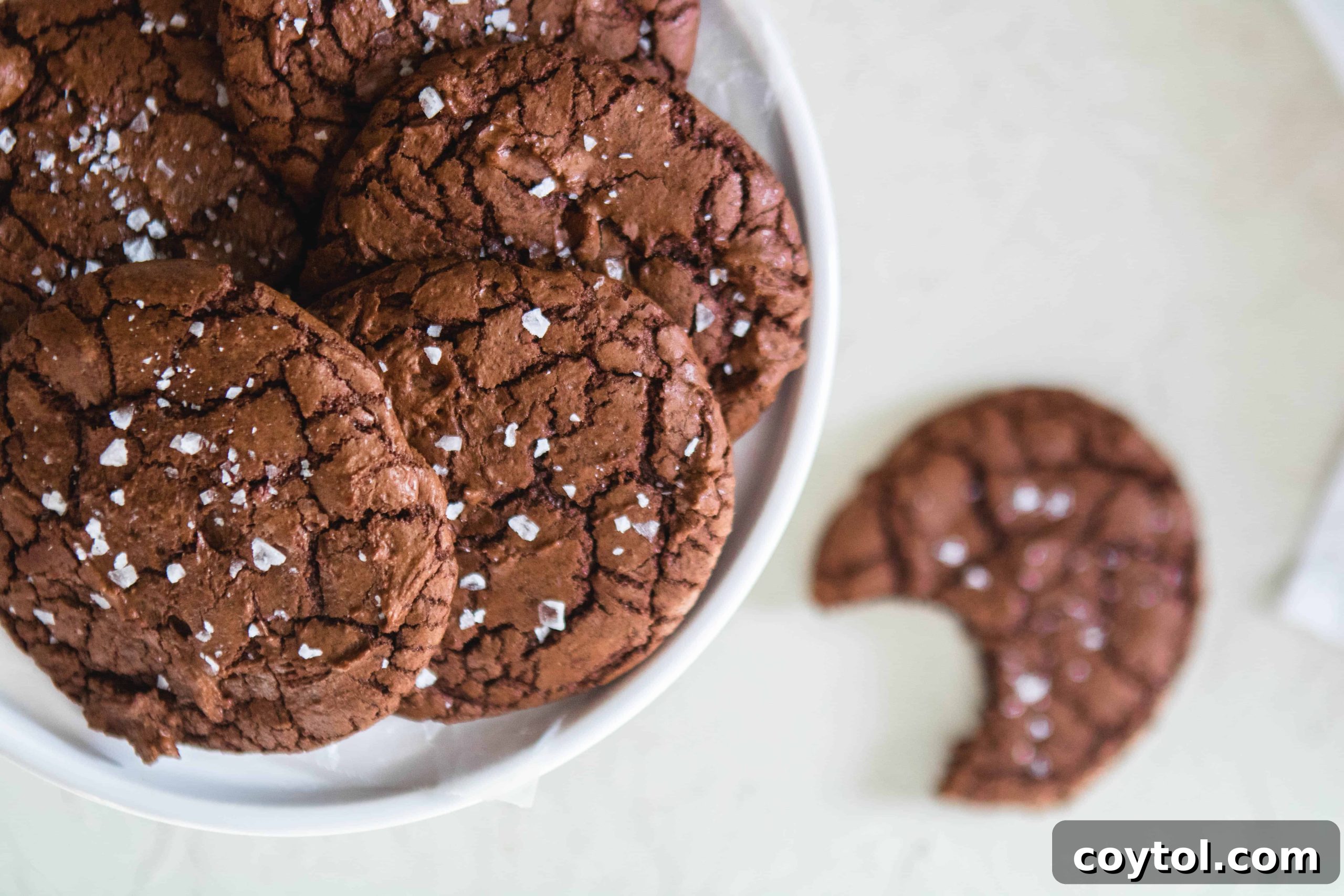 Sweet Escapes: 20 Recipes to Bake Away Stress 6 Brownie cookies for stress baking