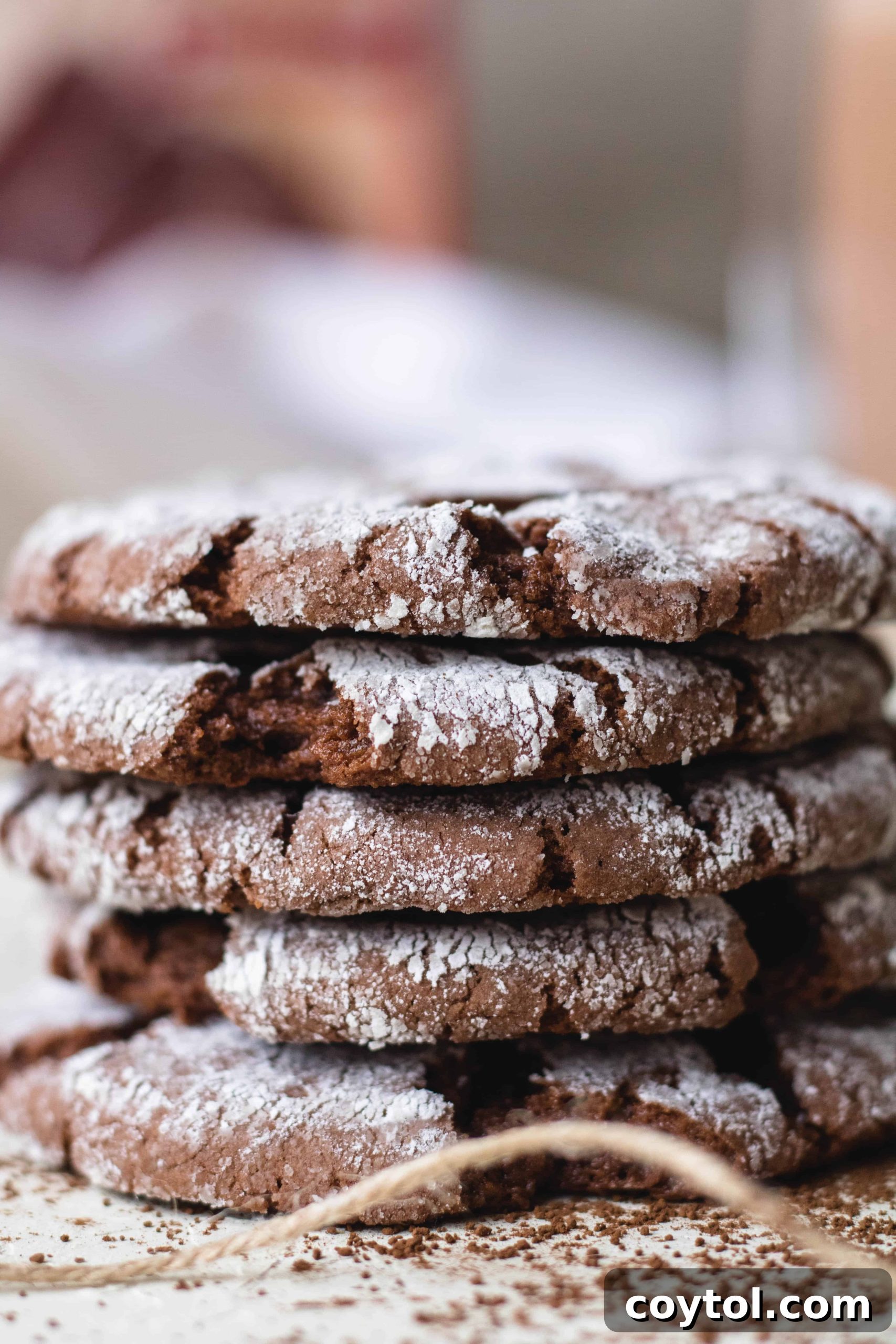 Sweet Escapes: 20 Recipes to Bake Away Stress 7 Chocolate cake mix crinkle cookies to deal with stress