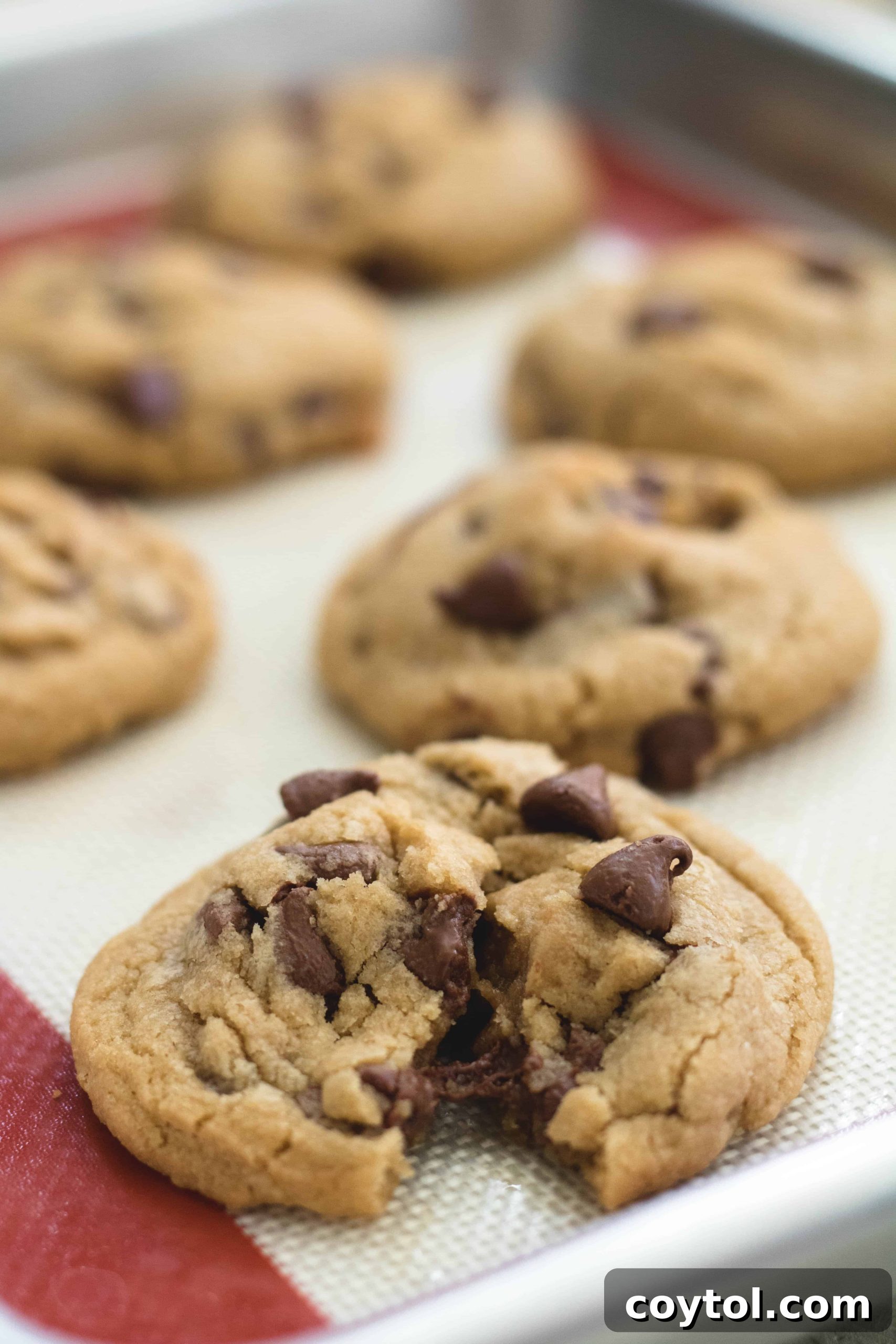 Sweet Escapes: 20 Recipes to Bake Away Stress 10 Small batch chocolate chip cookies for stress baking release