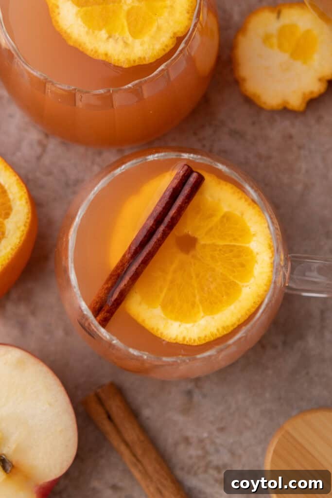An overhead view of two mugs of warm Instant Pot apple cider, steam rising, on a cozy backdrop with autumn leaves.