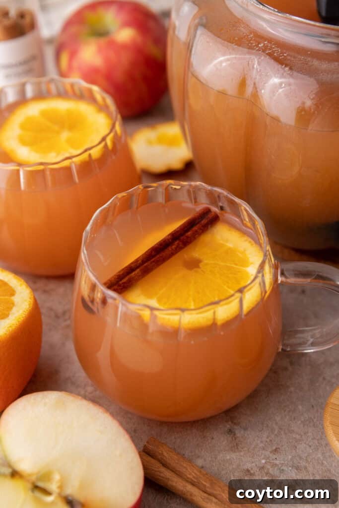 A close-up of a glass mug filled with Instant Pot apple cider, garnished with a single cinnamon stick, radiating warmth.