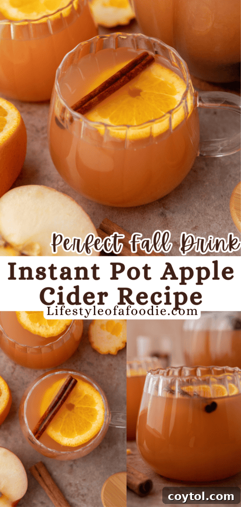 Pinterest pin for Instant Pot apple cider recipe featuring a cozy mug with spices.