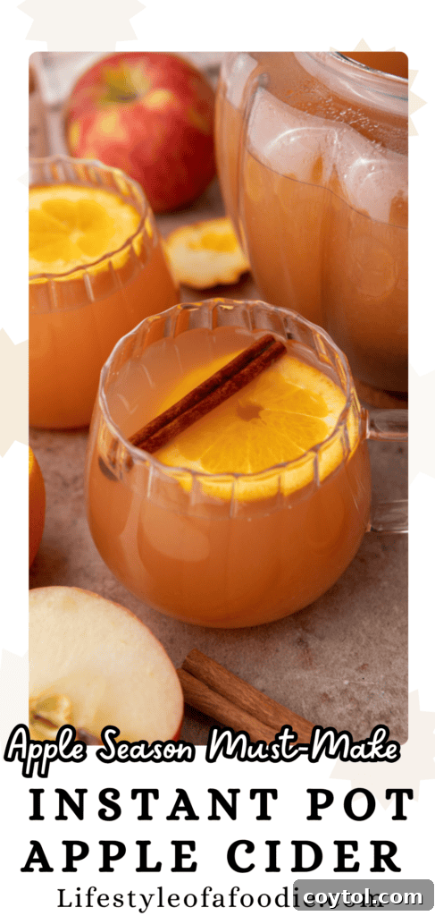 Another Pinterest pin image for delicious homemade spiced apple cider made in an Instant Pot.