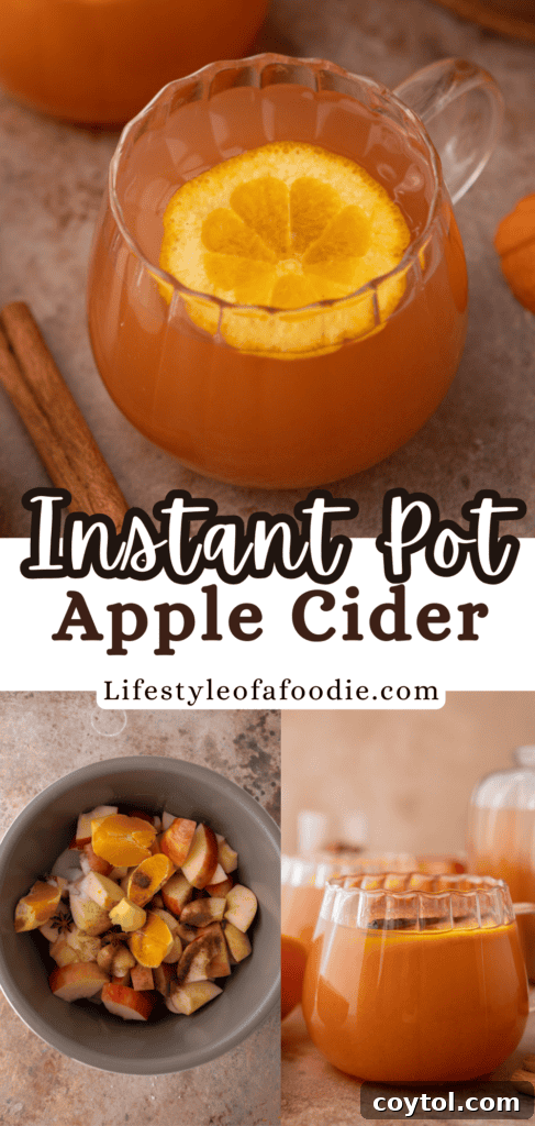 Pinterest pin showing ingredients and a final mug of Instant Pot apple cider, perfect for sharing.