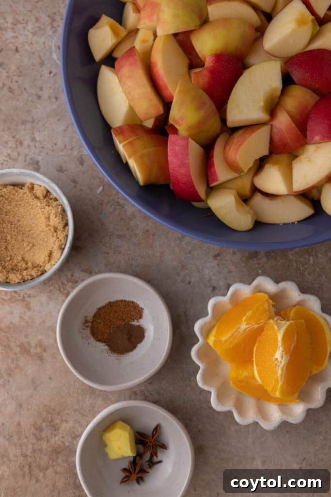 An array of fresh ingredients laid out for Instant Pot apple cider, including whole apples, an orange, cinnamon sticks, star anise, and ginger.