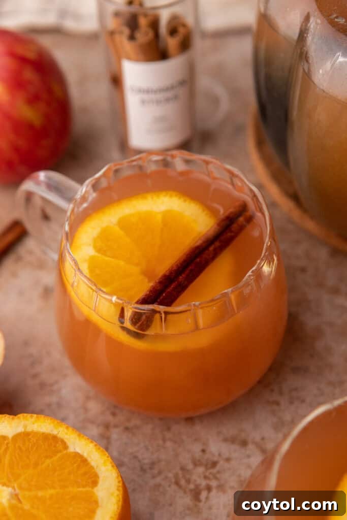 Overhead shot of Instant Pot apple cider simmering, showing the rich color and aromatic steam.