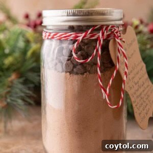 Brownie Mix in a Jar side shot