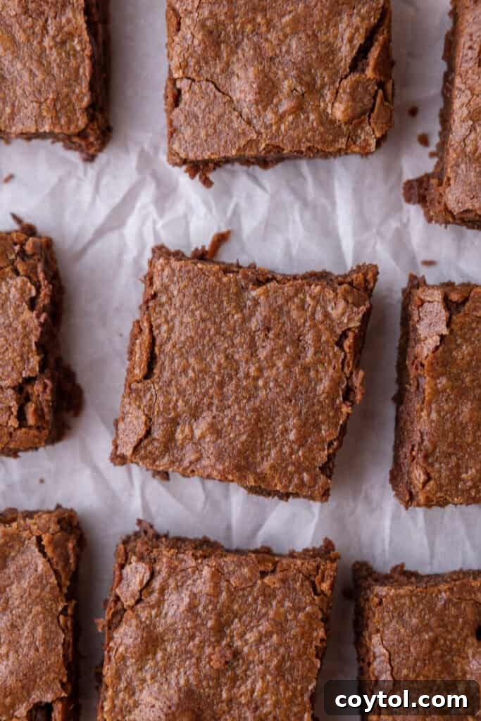 Freshly baked brownies, cut into squares, made from the Homemade Brownie Mix in a Jar