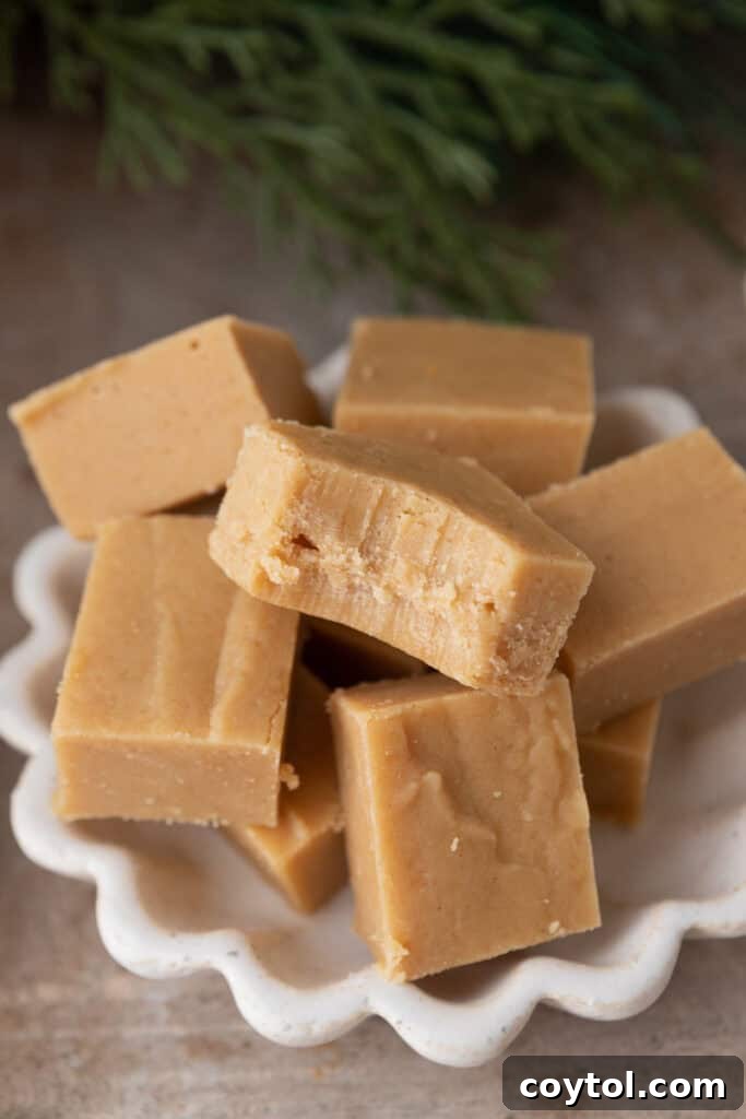 Instant Microwave Peanut Butter Fudge 2 Delightful squares of microwave peanut butter fudge arranged beautifully on a plate, ready to be enjoyed.