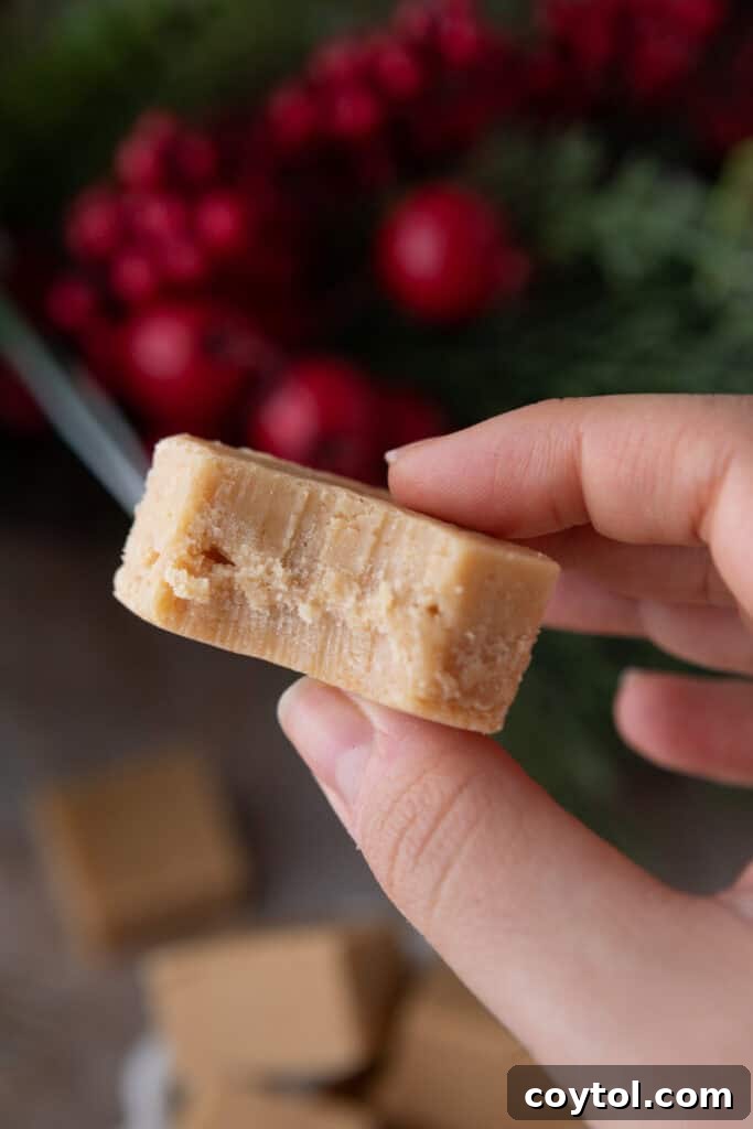 Instant Microwave Peanut Butter Fudge 11 A hand holding a piece of microwave peanut butter fudge, showing its thickness and texture.