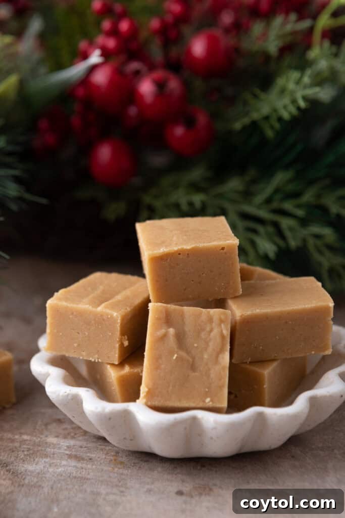 Instant Microwave Peanut Butter Fudge 12 A plate of microwave peanut butter fudge squares, perfectly portioned for sharing.