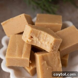 Instant Microwave Peanut Butter Fudge 13 microwave peanut butter fudge recipe on a plate