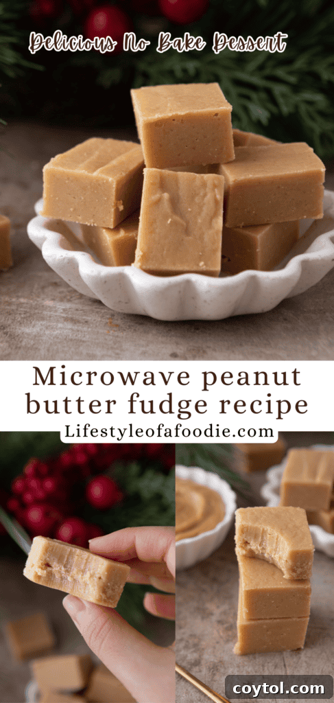 Instant Microwave Peanut Butter Fudge 14 Microwave peanut butter fudge recipe Pinterest pin with enticing imagery.