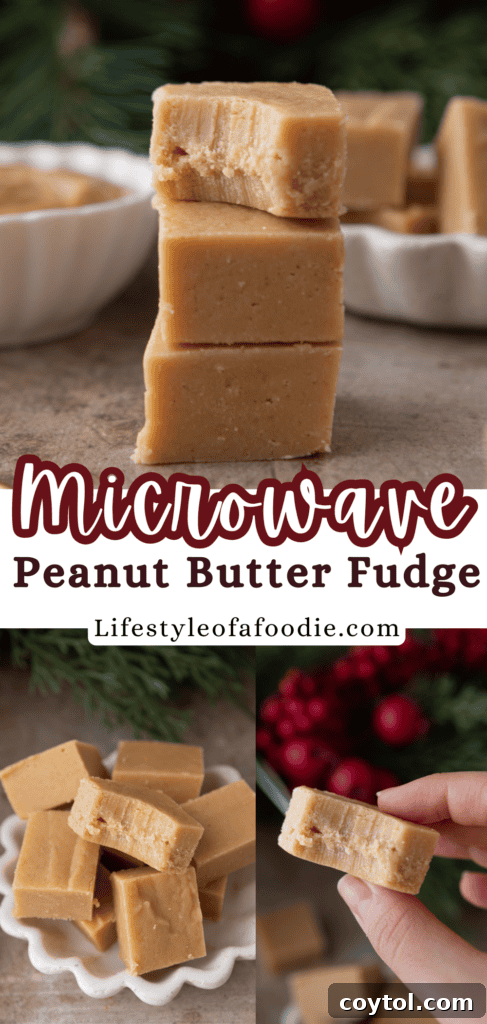 Instant Microwave Peanut Butter Fudge 16 A third Pinterest pin graphic for the microwave peanut butter fudge recipe, highlighting quick preparation.