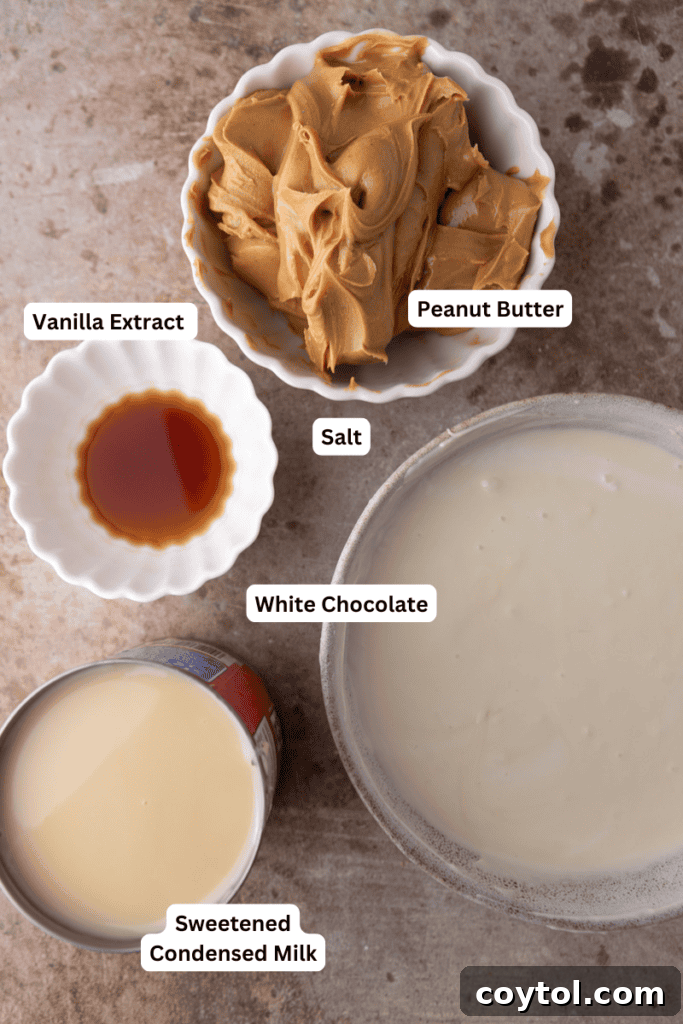 Instant Microwave Peanut Butter Fudge 3 Essential ingredients for microwave peanut butter fudge, neatly arranged for preparation.